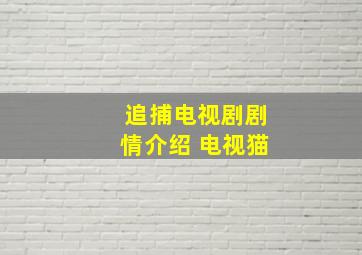 追捕电视剧剧情介绍 电视猫